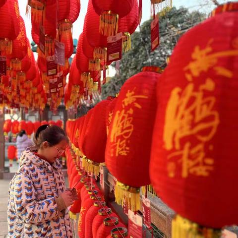黄鹤楼里寻年味，冰雪世界展英姿——舞阳中学学子xxx寒假纪实