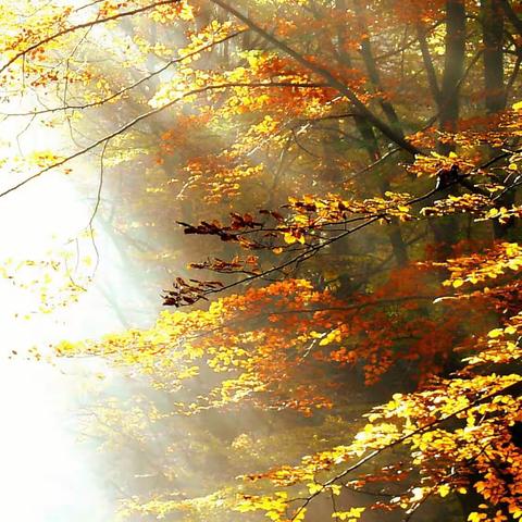 皖投服务·安徽铁投、皖江城际项目1月第2周工作汇报