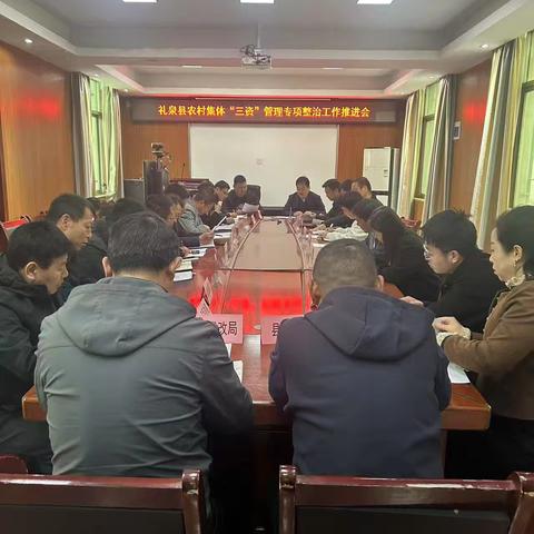 礼泉县召开农村集体“三资”管理专项整治工作推进会
