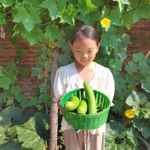 浚县白寺镇尚庄中心校开展“以劳动之美  育阳光少年”暑期劳动实践活动