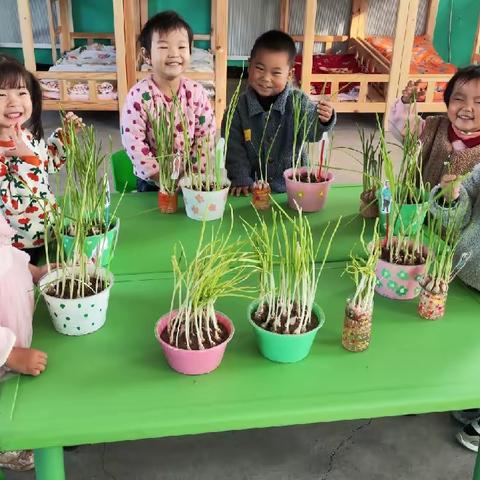 【双争有我】自己动手 丰衣足食——新华大拇指幼儿园大二班《蒜苗炒鸡蛋》