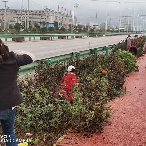 【咸宜关林场】强管护，确保景观绿化成果