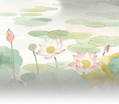 “同课”凝匠心，“异构”绽芬芳——石墙镇教办开展小学语文“同课异构高质量大课堂”教研活动