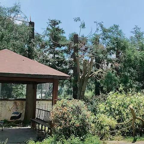 躬挥汗水妆黉宇，静守清风待稚鸿