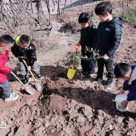 三益村启荣幼儿园植树节简篇