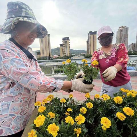 桥东绿化中心种植应季花卉扮靓城区