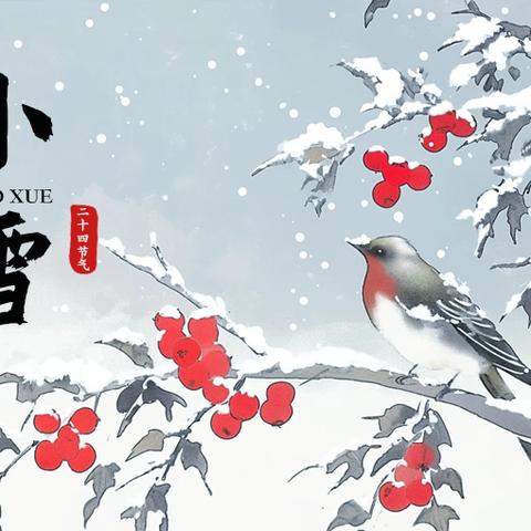 “幼” 见小雪  寒冬始俏 ——小雪节气活动