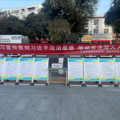 礼泉县粮食和物资储备局开展“国家宪法日”宣传活动