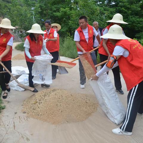 麟游县中心敬老院开展助农夏收解民优志愿服务活动