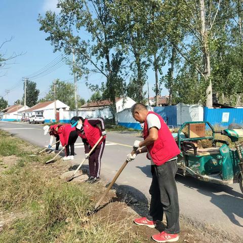 【庵头村第一网格】开展道路卫生清理活动