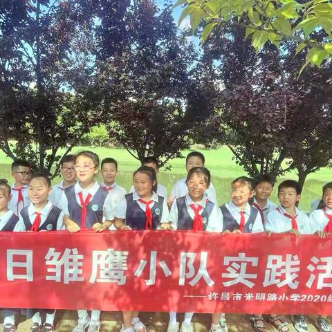 美丽城市是我家，爱护环境靠大家——许昌市光明路小学四(5)中队暑假实践活动