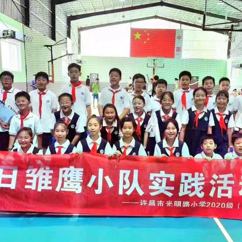 感受国球魅力，享受运动乐趣——许昌市光明路小学四(5)中队暑假实践活动