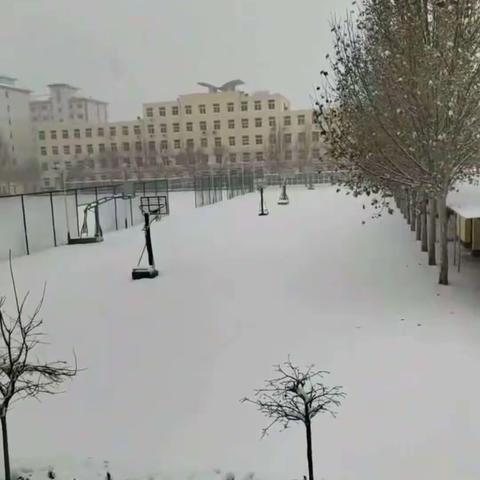 师情融积雪，温情似暖阳——新华小学全体教师扫雪记