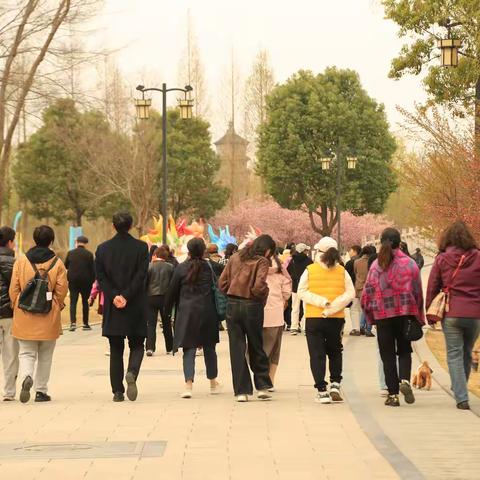 诗意之旅，浪漫寻踪