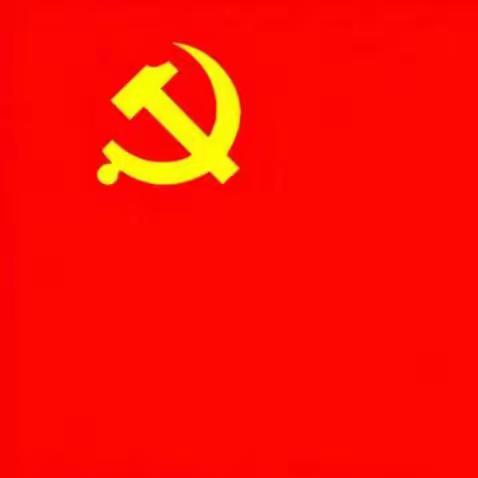 戎子社区各小区党支部开展——“红色便民日，服务零距离”主题实践活动