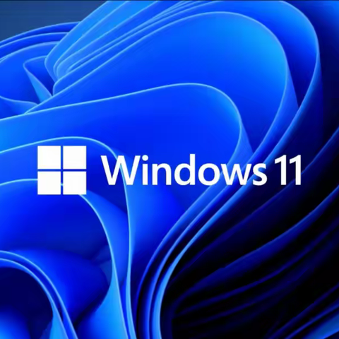 Win11选专业版还是专业工作站？Win11专业工作站版与专业版的区别？