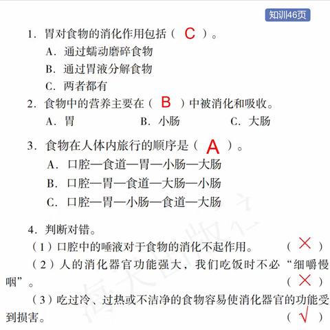 四上科学知训参考（第二单元）