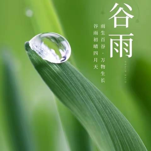 “雨生谷雨，时值暮春”—月亮三班谷雨活动