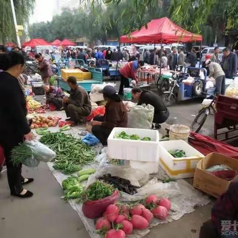 凉城早市见闻（散文）