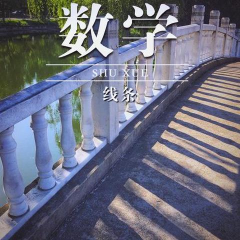 生活中的数学无处不在的逻辑之美