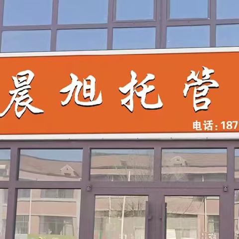 🎉渊博托管请您去旅游啦……🎊🎊[null]