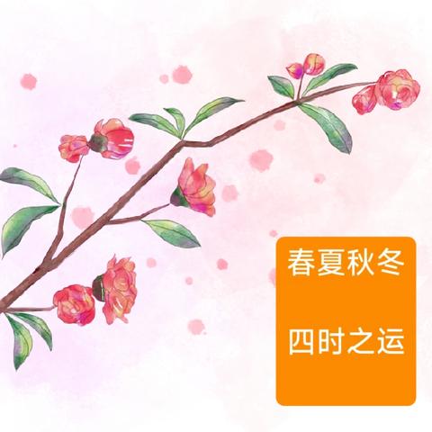 春夏秋冬 四时之运——东贾村小学二年级一班《二十四节气歌》综合实践活动