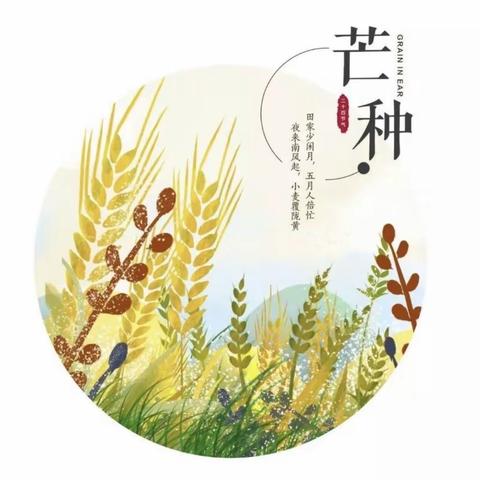 芒种至，夏始忙———昌城中心幼儿园中一班芒种节气活动纪实