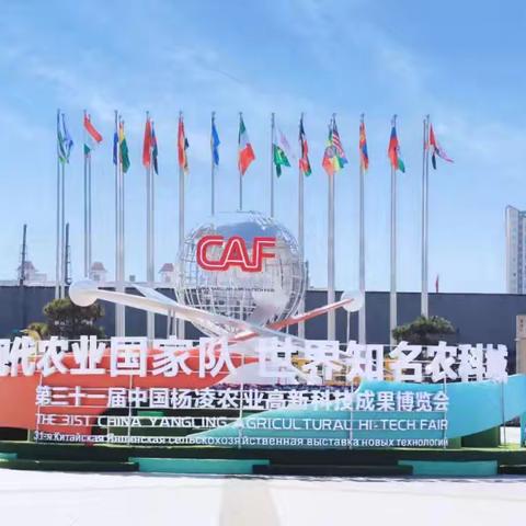 参观杨凌农高会科技创新展