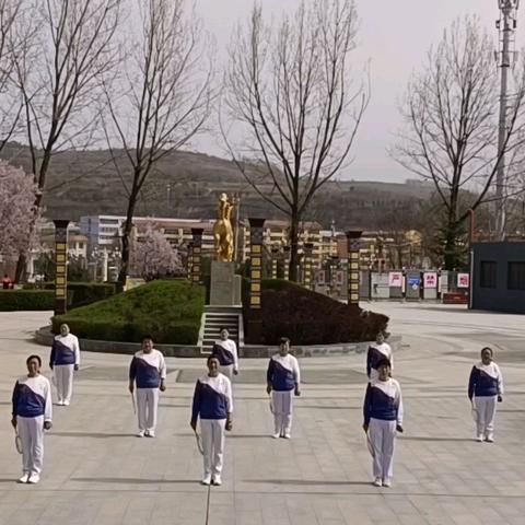 麟游县老体协柔力球队在2025年久久星柔力球基本功训练营线上交流赛中荣获卓越奖