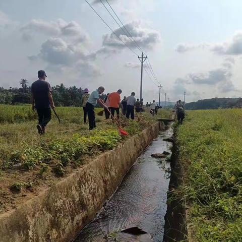 桥北村党支部组织清理河道