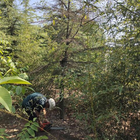 【即墨通济】开展青新高速环境综合整治专项行动