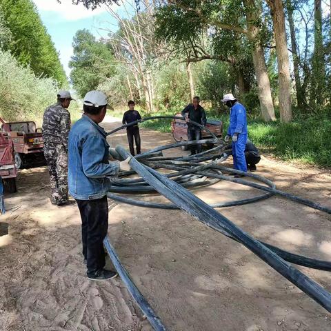 守护绿色屏障 保障林带灌溉——第二生产部二支渠23农西沙窝林带灌溉修复纪实