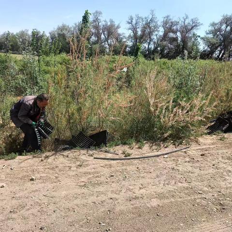 【“三抓三促”行动进行时】–第二生产部开展环境整治工作