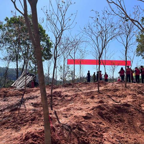 植树节丨“植”此青绿·共“树”未来暨龙岗街道学雷锋志愿植树活动