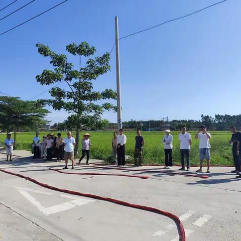 纳凤村村牌揭牌仪式