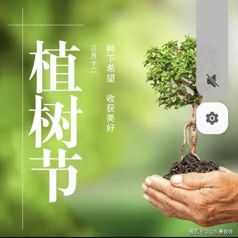 维尼班《植树节》主题活动