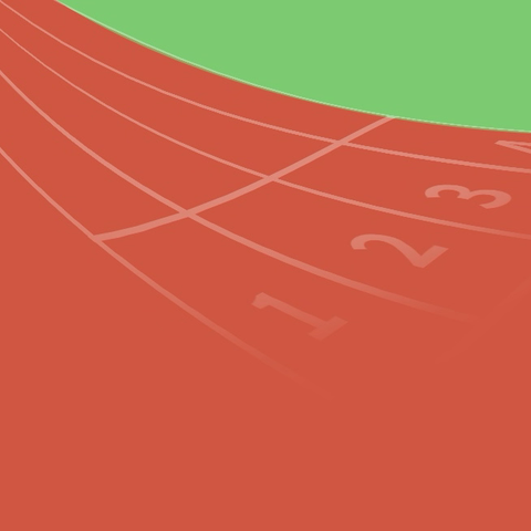 【翔集鸾小】童心燃赛场，运动向未来——鸾凤中心小学第二十三届运动会圆满落幕