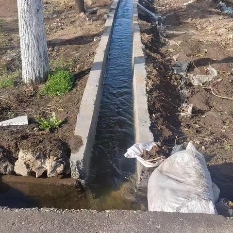 西仵镇西仵村网格员的简篇