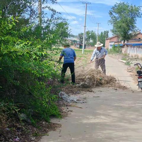 开展环境卫生清理活动