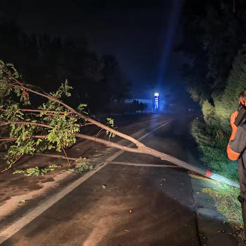 西仵镇西仵村网格员的简篇