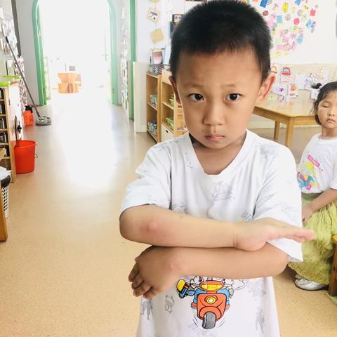 驱蚊那些事儿—郭巷实验幼儿园中4班课程故事