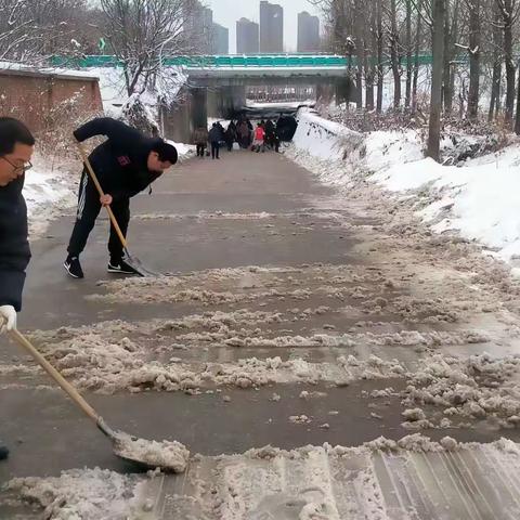 清积雪，党员群众齐上阵 解民忧，保障出行暖人心