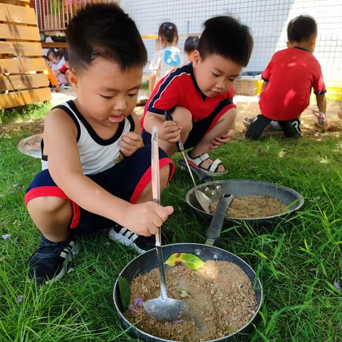 半日开放，伴你成长——小二班家长开放日活动