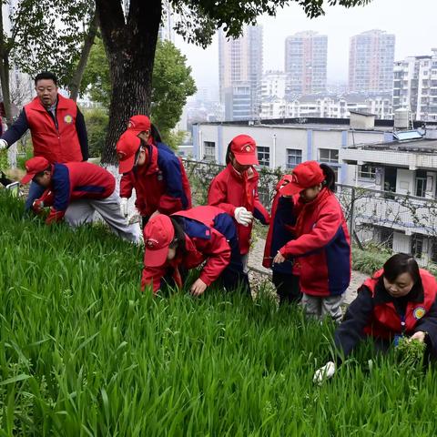 冯家湾小学博雅周报第五期（2025.3.10-3.14）