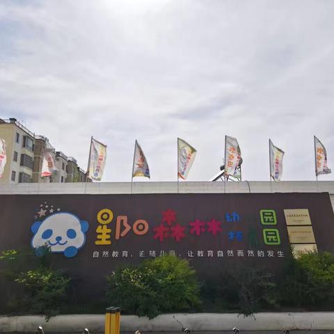 护苗成长 绿色“童”行 一绿色家园志愿者护苗绿书签行动