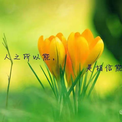 用心践行工匠精神 平凡岗位展现不凡价值—襄城森源库庄大队工作纪实