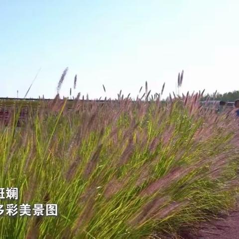 千城胜景｜河北正定：湿地公园风景如画