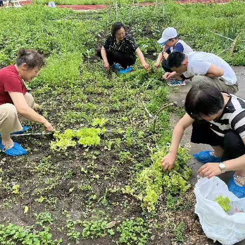 哈尔滨市启迪学校的简篇