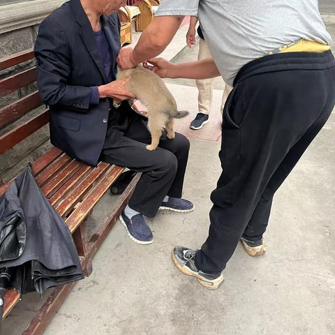 网格员暖心守护 禽畜防疫守护万家
