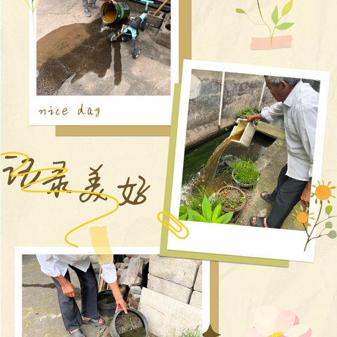 防蚊控病护家园  网格员织密登革热安全防控网